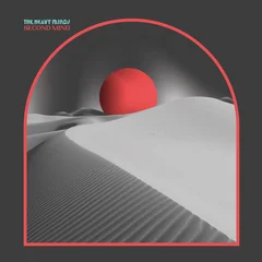 The Heavy Minds Second Mind (LP)