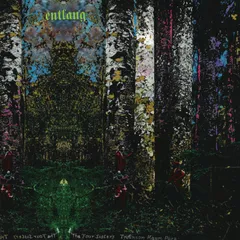 Entlang The Four Sisters (LP)