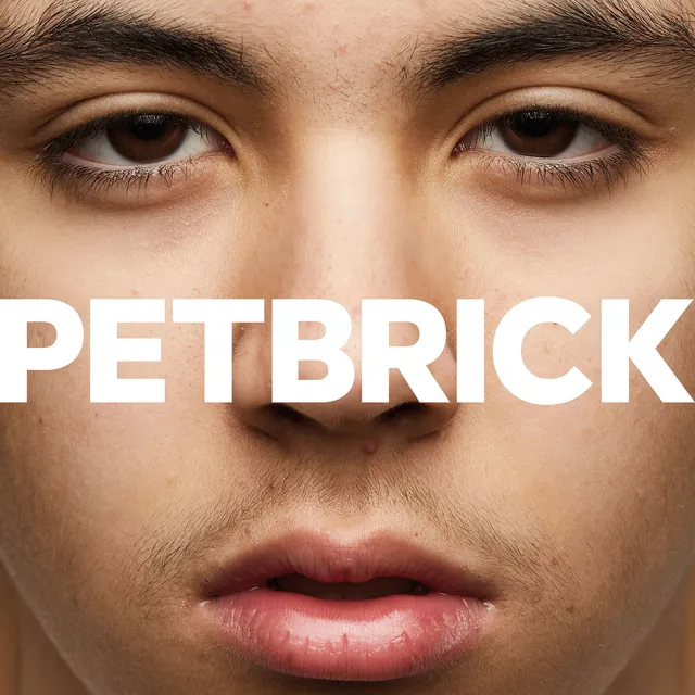 Petbrick I - LTD (LP) 