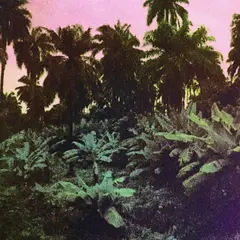 The Dead Sound Cuts (LP)