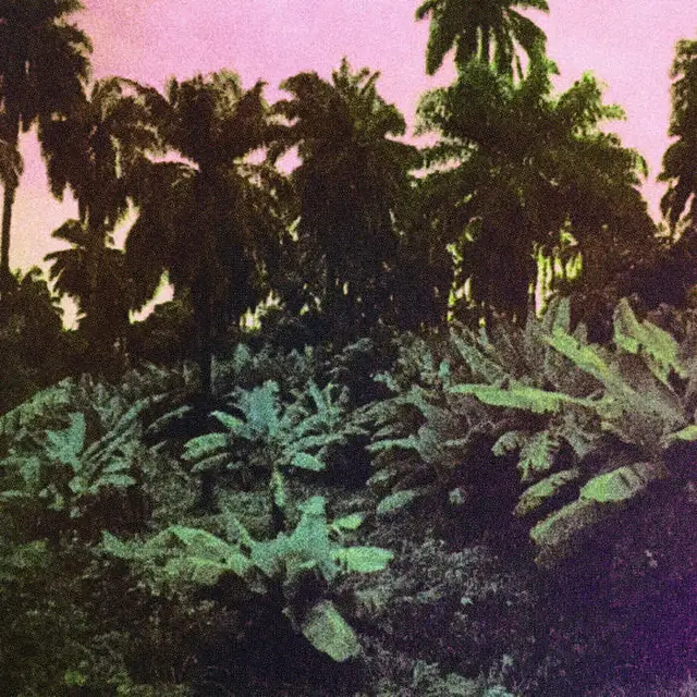 The Dead Sound Cuts (LP) 