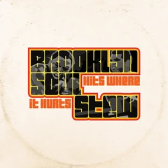 Brooklyn Soul Stew Hits Where It Hurts (LP)