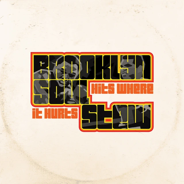 Brooklyn Soul Stew Hits Where It Hurts (LP) 