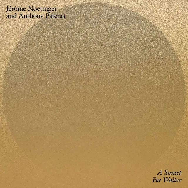Jérôme Noetinger & Anthony Pateras A Sunset For Walter (LP) 