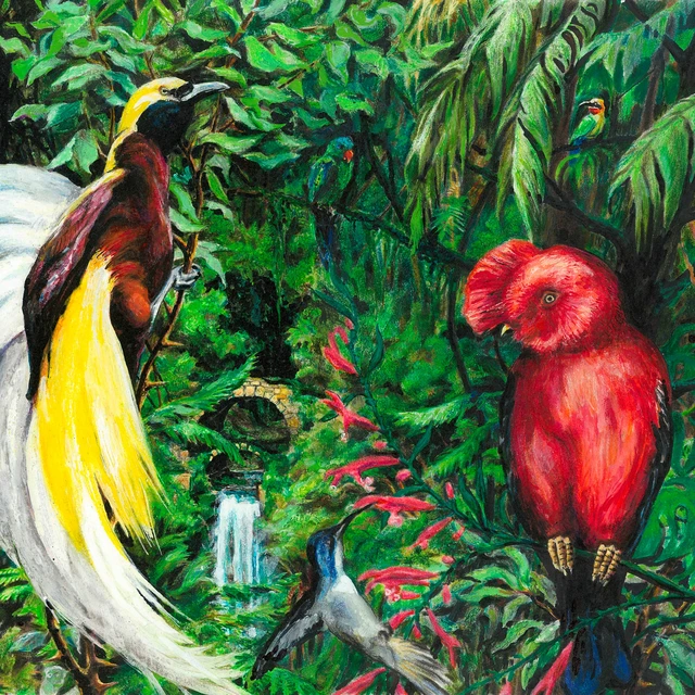 The Switch Birds Of Paradise (LP) 