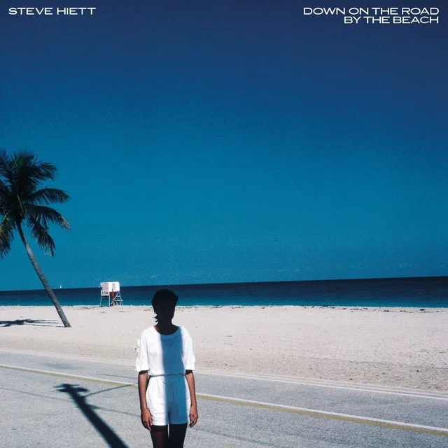 Steve Hiett Down On The Road By The Beach (LP) 