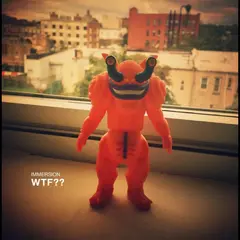 Immersion WTF?? (LP)
