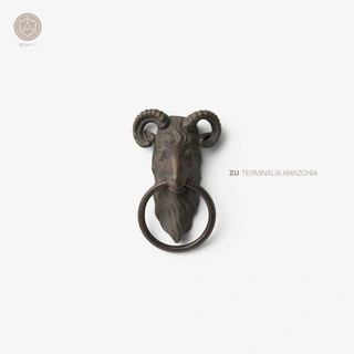 Zu Terminalia Amazonia - LTD (LP)