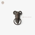 Zu Terminalia Amazonia (LP)