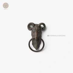 Zu Terminalia Amazonia (LP)