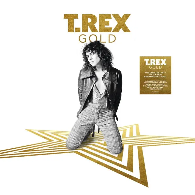 Marc Bolan & T.Rex Gold (2LP) 