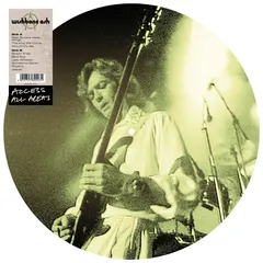 Wishbone Ash Access All Areas - Picture Disc (LP)