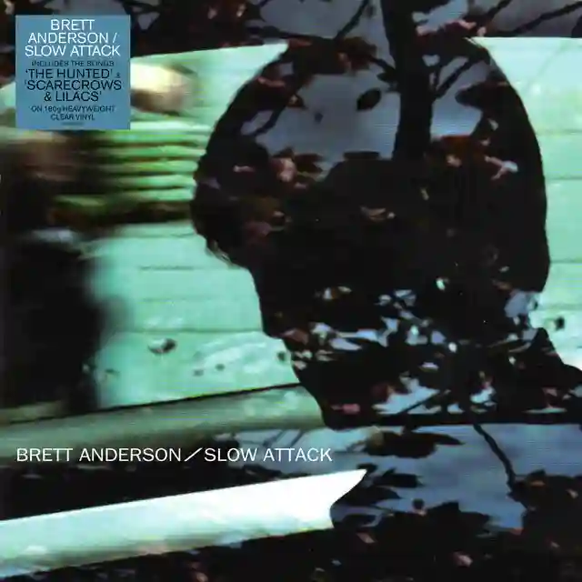 Brett Anderson Slow Attack (LP) 