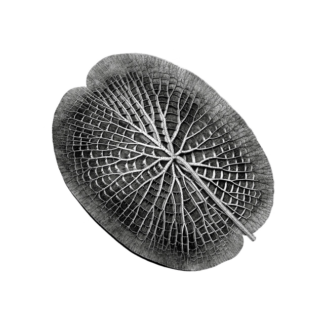 Microtub Chronic Shift (LP) 