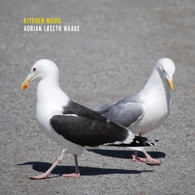 Adrian Løseth Waade Kitchen Music (LP) 