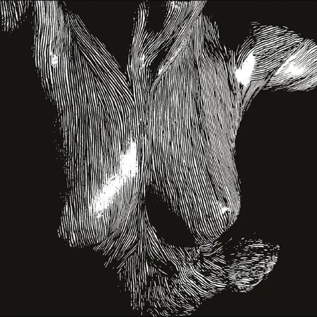 Oceansize Self-Preserved While The Bodies… (3LP) 