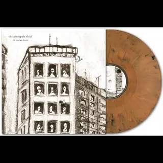 The Pineapple Thief 10 Stories Down: 20th… - LTD (LP)