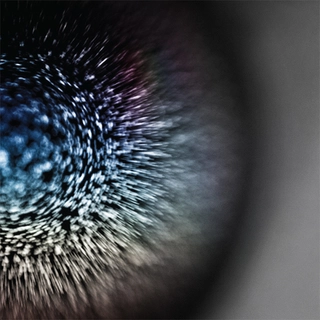Emptyset Blossoms (LP) 