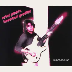 Ariel Pink's Haunted Graffiti Underground (2LP)