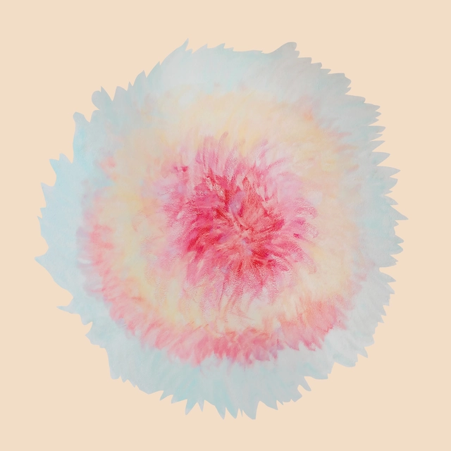 Signe Marie Rustad When Words Flew Freely (LP) 