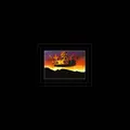 The Olivia Tremor Control Explanation II: Instrumental… (2LP)
