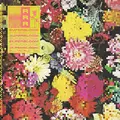 Ra Ra Riot Superbloom - LTD (LP)