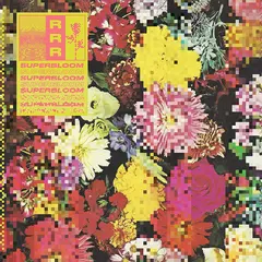 Ra Ra Riot Superbloom - LTD (LP)