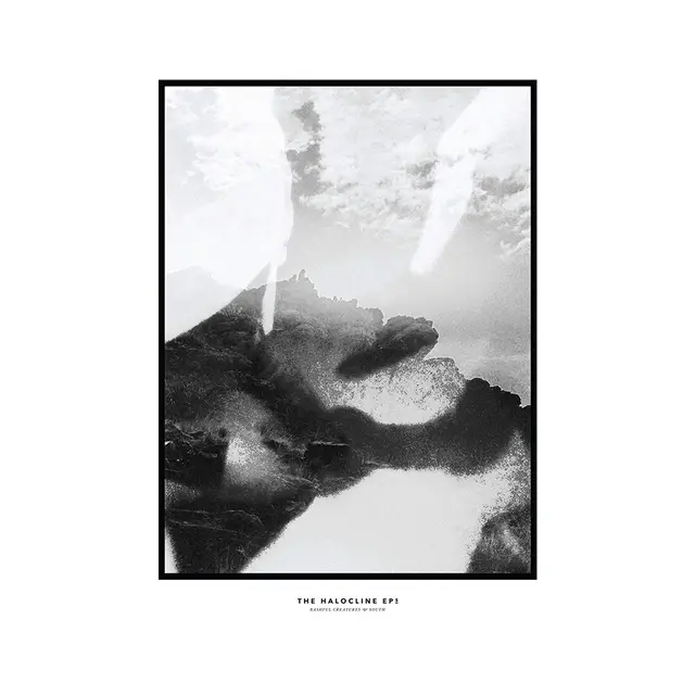 Hippo Campus The Halocline EPs (LP) 