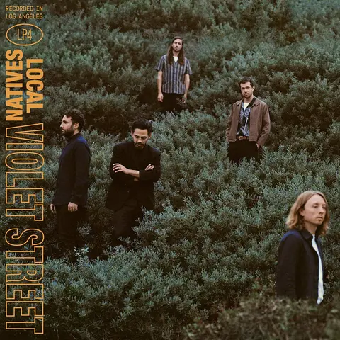 Local Natives Violet Street (LP)