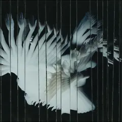 Scaler Endlessly (LP)