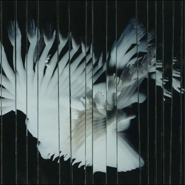 Scaler Endlessly (LP) 