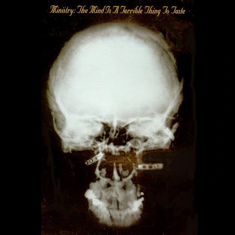 Ministry Mind Is A Terrible Thing To Taste (LP) 