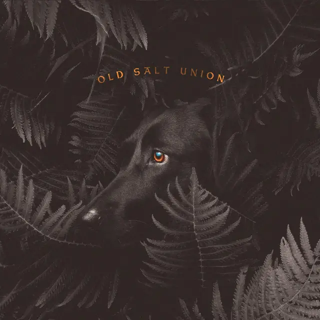 Old Salt Union Where The Dogs Don’t Bite (LP) 