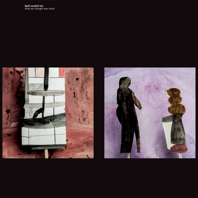 Kjetil Mulelid Trio What You Thought Was Home (LP) 