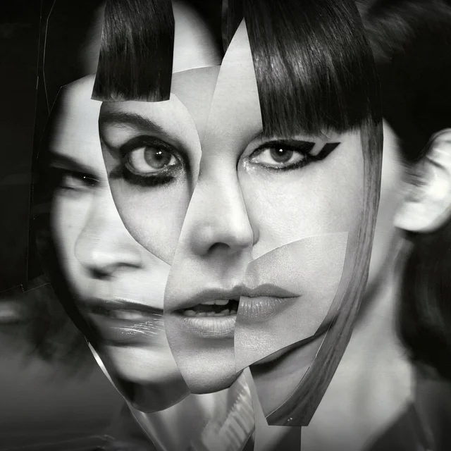 Sleater-Kinney The Center Won't Hold (LP) 