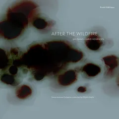 Jan Bang &amp; Arve Henriksen After The Wildfire (LP)