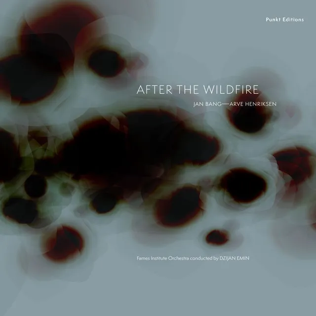 Jan Bang & Arve Henriksen After The Wildfire (LP) 