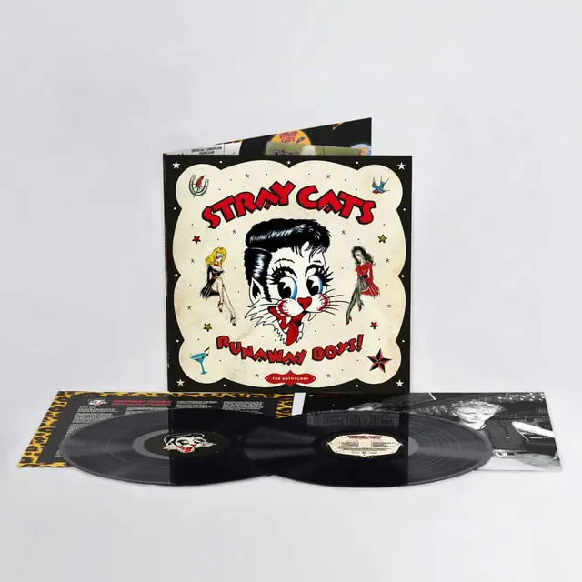 Stray Cats Runaway Boys - The Anthology (2LP) 