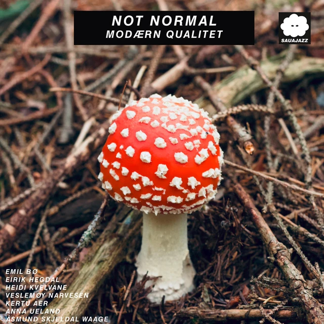 Not Normal Modærn Qualitet (LP) 