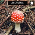 Not Normal Modærn Qualitet (CD)