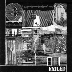 Bad Breeding Exiled (LP)