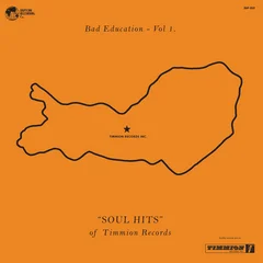 Diverse Artister Bad Education: Hits Of Timmion Recs (LP)
