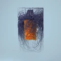 Plaid Polymer (2LP)