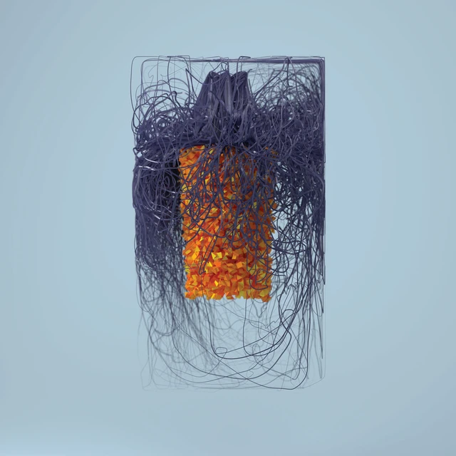 Plaid Polymer (2LP) 