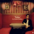 Jamie Cullum Taller (LP)