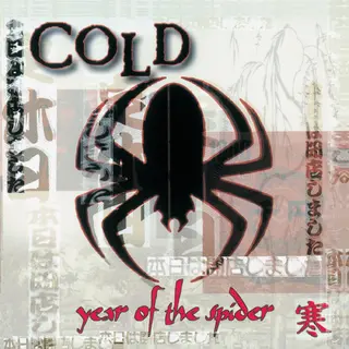 Cold Year Of The Spider - LTD (LP)