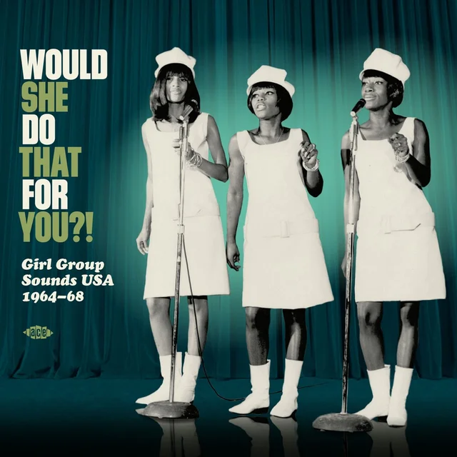 Diverse Artister Would She Do That For You?! (LP) 