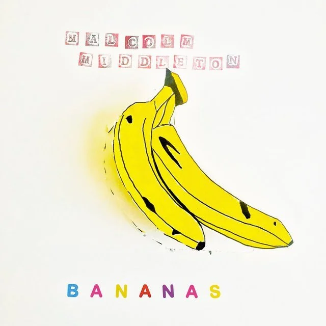 Malcolm Middleton Bananas (LP) 