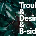 Tiger Lou Trouble &amp; Desire and B-sides (LP)