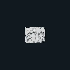A Swarm Of The Sun Woods (LP)